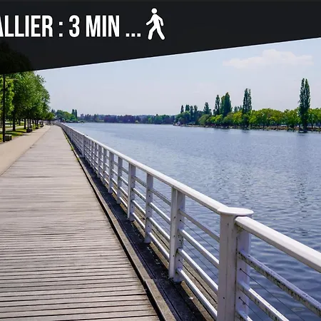 Vicheia - 12 וישי